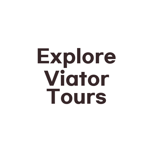 Explore Viator Tours